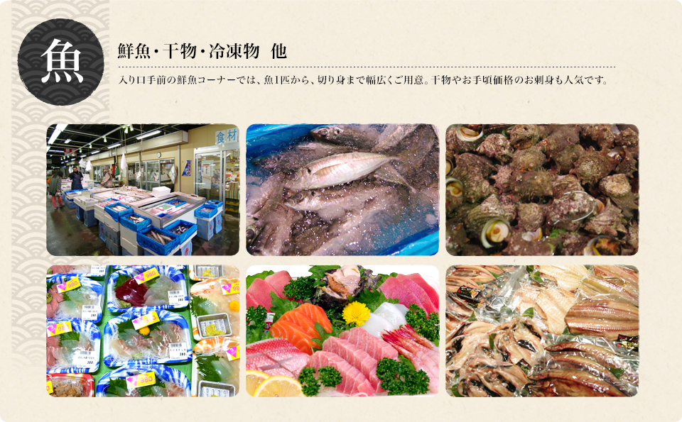 鮮魚・干物・冷凍物　魚１匹から切り身まで幅広くご用意しています。